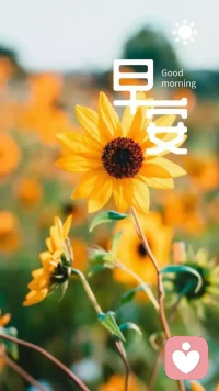 每一天，世界都不安靜，但是，人真的要靜下來思考人生。讀讀別人，思考自己。無拘無縛，交融交流。真正好的文字，總是能治愈人。念讀不要太雜，要重復讀而不厭。讀對了好文字，就是人生的幸運。細嚼慢咽，反復領悟。人每天要吃飯，每天也要治愈。幸運不是別人給的，是自己堅持出來的。人生最大的總結是，越是讀書，越是看淡，越是不執；越是舍得，越是淡定，越是富有。配圖