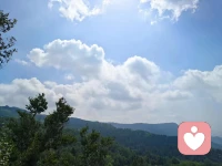 我们给了生活多少耕耘，生活就会赏赐我们多少果实！我们给了生活多少懒惰，生活就会回应我们多少苦涩！配图
