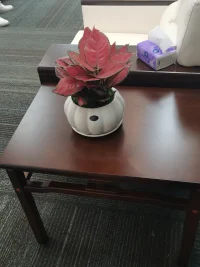 永远热情，永远快乐，你要的生活，只能自己给自己！