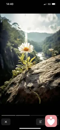 这辈子所有痛苦，所以折磨都是来成就你的，顺境的时候我们享受，逆境的时候反而是我们修行的最好肥料。配图