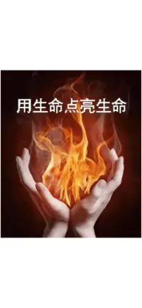 生命點亮生命，相信相信的神奇配圖