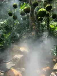 每個人的身體里都藏著一股強(qiáng)大的力量，你也不例外，你可以沖破眼前的困境，你可以戰(zhàn)勝一切配圖