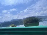 每一個早晨都是重新定義自己的時刻，帶著清醒的勇氣，去活成此刻最想成為的模樣。配圖