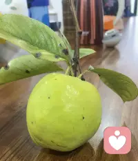 愿你平复嫉妒的心情，保持镇定的理智，规避自己的不足，发扬自己的长处，努力沿着理想的轨迹，一步一步，去到达目的地