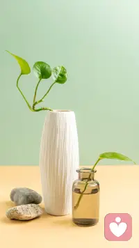 停止内耗一一
你没有那么多听众，不用过于在意别人的看法，停止犹豫，想1万次，不如行动一次。纠结只会浪费自己的时间和精力。
停止拖延一一
那些让人感到烦恼的事情不解决，他始终都会在那里拖延，并不会让他消失，停止苛求完美。配图