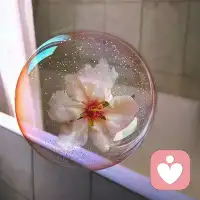 天气转冷，大家注意保暖，祝好梦，晚安啦！配图