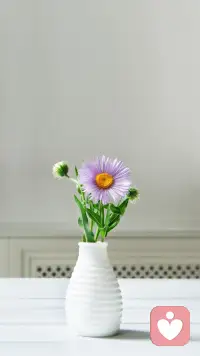 喜欢的事情不见得是擅长的事情；但是擅长的事情有可能变成喜欢的事情。因为你会轻易获得做这件事的乐趣，并获得外界的正向反馈，这种来自内在和外在的激励，会让你变得越来越喜欢这件事。配图