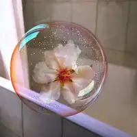 今天分享一個(gè)故事：創(chuàng)業(yè)合作
    有2個(gè)人，她們是同學(xué)，一個(gè)學(xué)化妝，一個(gè)從事銷售。她們說(shuō)好一個(gè)接單一個(gè)去化妝。于是從事銷售的人開(kāi)始做宣傳，很快第一筆生意來(lái)了，她們一起去完成。第一筆生意沒(méi)什么錢賺，分成是化妝的賺了些化妝用品，銷售的不虧車費(fèi)。如果說(shuō)賺了，還是化妝的那個(gè)賺。于是銷售的又開(kāi)始接單，可是化妝的說(shuō)不做了……
     大家看到這里，應(yīng)該明白了什么了？就是化妝知道渠道了，可以自己接單自己賺，而銷售的不懂技術(shù)，接了不會(huì)做。
      這個(gè)故事告訴我們，創(chuàng)業(yè)合作可以，但技術(shù)是前提。自己必須懂技術(shù)，這樣不管散伙還是繼續(xù)合作，對(duì)自己都是有利的。配圖