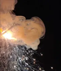 2023元旦愉快
祝可愛的你——
順利幸福果敢
有所期待??配圖