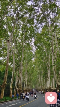 四種重要的能力
1.處理問題的能力
2.管理情緒的能力
3.與人溝通的能力
4.建立親密的能力配圖