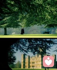 你想要得到誰的認可
你就會成為誰的奴隸
當我們不再為了別人的眼光而活
才能真正的釋放自己的潛力配圖