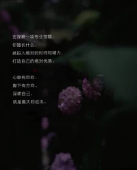 喜歡《我的天才女友》中的一段話： “去讀書，去學習，去受教育，記住掌握知識不是目的而是手段，最重要的是我們可以擁有選擇的機會。”不要被那些輕松的娛樂徹底麻木掉自己，進步是一輩子的事。永遠不要放棄學習新的東西，因為那些枯燥的知識和閱歷，往往就是成就我們走向山頂?shù)膶嵙ΑＥ鋱D