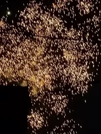 靈蛇騰躍新年始，祥福同臨好夢織。望新的一年，愛情甜蜜如醇酒，友情堅固似磐石。家庭和睦樂無邊，事業騰飛沖九天。青春永駐容顏俏，活力長存意氣高。事事如意呈佳景，處處逢春展笑顏。配圖