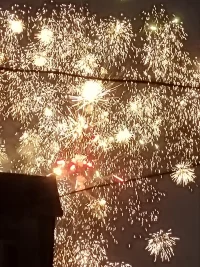 靈蛇騰躍新年始，祥福同臨好夢織。望新的一年，愛情甜蜜如醇酒，友情堅固似磐石。家庭和睦樂無邊，事業騰飛沖九天。青春永駐容顏俏，活力長存意氣高。事事如意呈佳景，處處逢春展笑顏。配圖