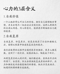 心力就是一个人内心的力量，它反映了一个人面对困难时的心理韧性和抗击打能力。配图