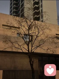 “好好地活就是去做有意义的事，有意义的事就是好好地活”。配图