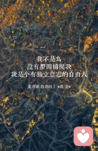 永不妥协就是拒绝命运的安排，直到它回心转意，拿出我能接受的东西来。配图