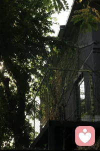 有些看似完美的机会，不过是人生错配品。包装华丽，却与你的内核不兼容，接受它就意味着要扭曲自我去适配，短期或许光鲜，长期损耗远超收益。真正的自由，是拥有说不的权利和勇气。