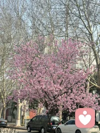 做事不问可不可能，但问应不应该。配图