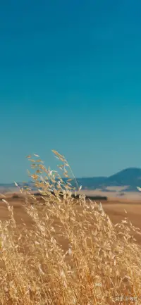 心態(tài)好的人，不會羨慕他人，也不會巴結任何人，不想要改變別人，也不會在意別人的看法。不會迎合那些故作高冷的人，也不會勉強維持讓自己感到疲倦的關系。誰對自己好，就回報誰
以真誠。在所有的事情上，首先考慮自己的感
受，至于其他的，根據(jù)情況而定，要親近還是疏

遠，全靠自己的心意。這樣的人最為獨立自
主，不易受外界影響。懂得自我價值，也知道如何找到人際關系的平衡點，活在當下，自由自
在。性格成熟穩(wěn)重，值得信任與依
靠，這才是現(xiàn)代人應具備的最佳態(tài)度。配圖