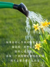 在生活中，抑郁常常伴隨著我們。但是，只要我們學會正確的面對和應對，就能夠戰勝它。首先，要保持積極的心態；其次，多和朋友交流、尋求支持；最后，適度運動，并注重飲食健康。當然，在必要時也可以尋求專業的幫助。不管何時何地，都請記得：你并不孤單！讓我們一起勇敢地面對抑郁吧！配圖