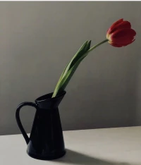 自我一致性

當一個人言行一致，自己做的行為，想法和情緒和自我價值觀是一致并且協調時，人會感到很快樂和舒適。這個狀態的你，接受自己本身的樣子并且愛自己真實的樣子，同時你也接受理解別人
本身的樣子。配圖