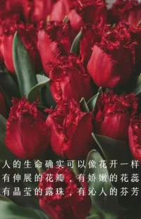 為什么我們經常把停止抱怨，零抱怨作為輕咨詢的第一步？其實并不是因為抱怨的時候別人會不喜歡你，最最重要的一個點，當你不斷的去抱怨這個世界的時候，其實最不喜歡你的是你自己，你想想你喜歡一個抱怨的人嗎？你不會啊，就當你都不喜歡你自己的時候，你怎么可能去喜歡別人呢？而你又怎么可能相信別人會真正喜歡你？這個時候我們將失去了愛和被愛的能力，別人愛你，你不相信，你去愛人，你也沒有能力。所以面對困境抱怨，其實失去自信和動力的，抱怨別人，失去的是信任和情誼，抱怨環境，失去的是適應和創新。面對困境，聰明的人從不抱你，而是學著接受，學著改變，學著從困境里面走出來。配圖