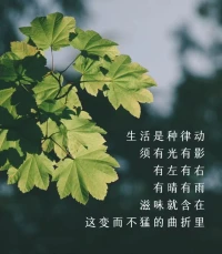 我們只來這個世界一次，百年之后，沒有你，也沒有我，我們的拼搏一生，不帶走一磚一瓦，帶不走一絲愛恨情仇，人間苦短，所以吃你想吃的飯，見你想見的人，看你喜歡的風景，做你喜歡做的人，人生本來就是一次減法，來日并不方長，有錢把日子過好，沒錢把心情過好，時間撲面而來，我們終將釋懷，健康的活著，平靜的過著，開心的笑著，適當的忙著，就很好。配圖