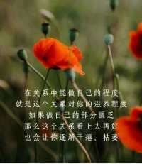 最近學到一個詞叫“課題分離”
意思是
“要將自己的感受與別人的感受分離
比如你拒絕了一個人
就沒必要承擔他被拒絕后的沮喪
你不應該為了他的討厭而感到難過
其實一切人際關系的矛盾 
都起因于對別人的話題的妄加干涉
換句話說你不必為別人的情緒買單
你只需要對自己的情緒負責
你都不需要所有人認可
朝著自己喜歡的方式去生活吧
無需自責、無需愧疚
做自己永遠不要感到抱歉配圖