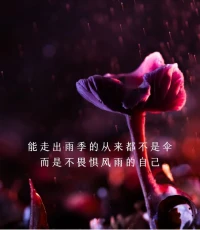 幸福的秘訣不是你擁有了才值得，而是認為值得才會擁有。
?
一個人最好的狀態，有膽量按照自己喜歡的方式去生活。?“經常慶功，才能成功。”

當你開始自洽，相信自己“配得上”，內在的力量就會越來越飽滿，目標也就越來越接近喲~配圖