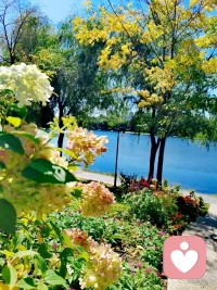 沒人會對你的快樂負責，你要自己尋找配圖