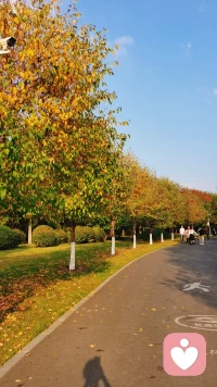 時間慢慢流過荒蕪的青春??，開始不分晝夜的感慨配圖