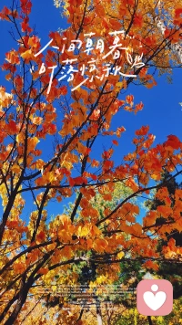 對待愛情真誠永遠沒有錯，別人當海王玩弄感情是別人的事，在戀愛進行時1v1是對彼此的尊重，請你守護好你的三觀和愛情觀配圖