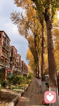 所謂人生，大概就是不停滾動，遇見愛，錯過愛，接受缺憾，也感受欣喜配圖