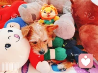 憂慮最能傷害到你的時候，不是在你有所行動的時候，而是在你沒事可做的時候配圖