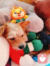 胡思亂想，就像傳說中的妖精，會掏空我們的思想，詆毀我們的行動力和意志力。配圖