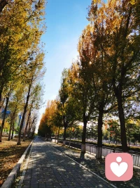 勇氣是逆境當中綻放的光芒一樣，它是一筆財富，擁有了勇氣就有了改變的機會配圖