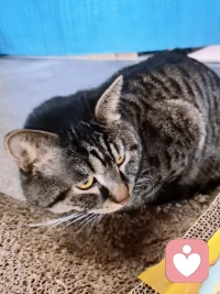 他若真愛你，你可以是任何一種女子。他若愛你不夠，你才需要做一個全能的女子配圖