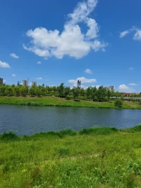 心之官則思，思則得之，不思則不得也配圖