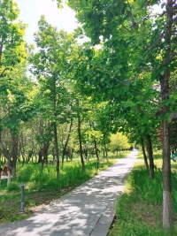 瑞士著名心理學家卡爾·榮格說過：“人們會想盡辦法，各種荒謬的辦法，來避免面對自己的靈魂。” 但他還說過：“只有直面靈魂的人，才會覺醒。”配圖