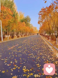 人生如逆旅，我亦是行人配圖