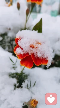 讓我們心理上受苦的，不是事情本身，而是我們對事情的想法和圍繞著這個事情所編造的故事配圖