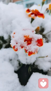 嘗試后可能會失敗，但千萬別放棄嘗試配圖