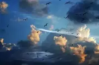 《自愧》
表現即假象，
無形勝有形。
何人能做到，
自愧低聲臊。
???????高天雨配圖