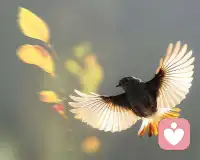 早安，朋友們！就算全世界都否定你，你也要相信你自己，不要去想別人的看法，別人的話不過是陽光里的塵埃，下一秒就被風吹走。配圖