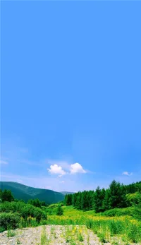 愛和孤獨是人生最美麗的兩支曲子，兩者缺一不可，無愛的心靈不會體味孤獨，未曾體味過孤獨的人，也不可能懂得愛。配圖