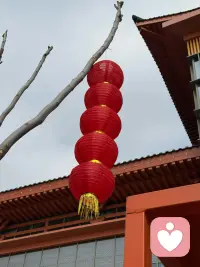 尽管世界上有过无数片叶子，将来还会有无数片叶子，尽管一切的叶子都将凋零，我们仍然要抽出自己的绿芽。