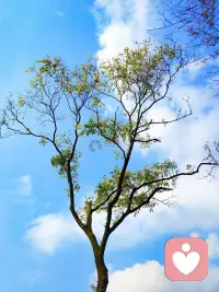 你所做的事情，也許暫時看不到成功。不要灰心，你不是沒有成長，而是在扎根。配圖