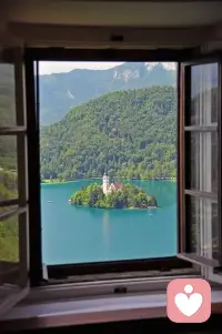 小的時候坐公交車，最喜歡看窗外的景色
看窗外的一棟棟建筑，車水馬龍，人來人往…

現(xiàn)在無論坐什么交通工具，頭都扎在手機里
為工作也好娛樂也好

偶然間一抬頭，就會看到一片片綠植或者枯葉，訴說著四季的變換

它們好似在呼求我的關(guān)注，“我們沒有手機可愛嗎？”

我聽到了，我看到了…但現(xiàn)代社會真的很難做到和手機分離…慢慢來吧…覺察是第一步～配圖