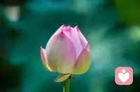 幸福的“福”字就是一件衣服一口田，告訴我們夠吃夠穿就好，知足者常樂。有些人通過物質上的滿足換來幸福，那種幸福特別短暫；如果我們能時時刻刻微笑，擁有顆安祥的心，就會擁有永恒的幸福。配圖